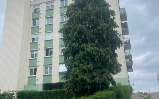 À louer – Appartement T3 lumineux – Rouen Vallon Suisse (76000)