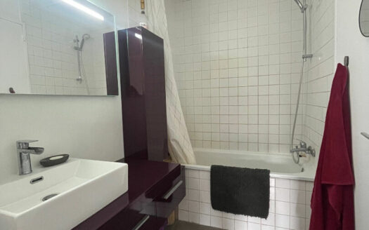 À louer ? Appartement T3 lumineux ? Rouen Vallon Suisse (76000)