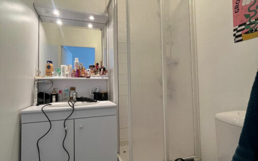 A louer Studio 24 m2 Rouen Descroizilles (76000)