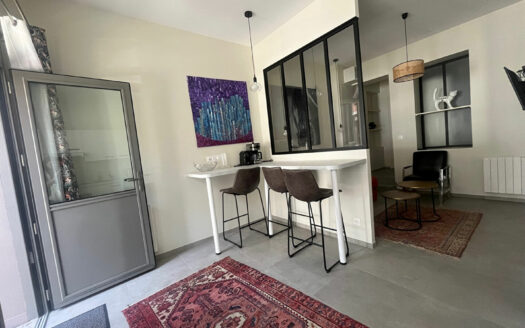 STUDIO MEUBLE 31m² – PLACE DU VIEUX MARCHE (76000)
