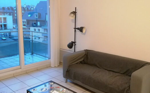 A vendre Rouen Gauche F2 + parking loué