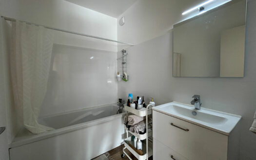 A vendre Mont-Saint-Aignan limite ROUEN Gare F3 71m2