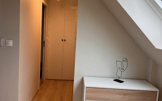 F1 bis meublé 16m² – Hyper centre, vieux marché (76000)