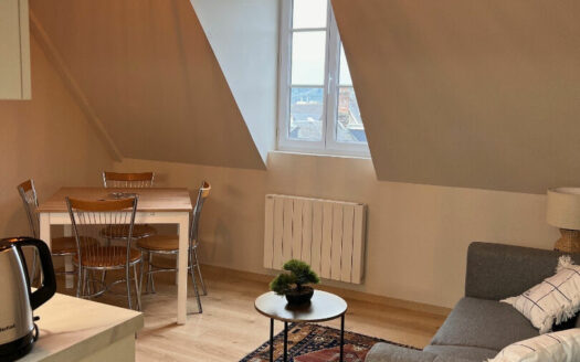 F1 bis meublé 16m² – Hyper centre, vieux marché (76000)