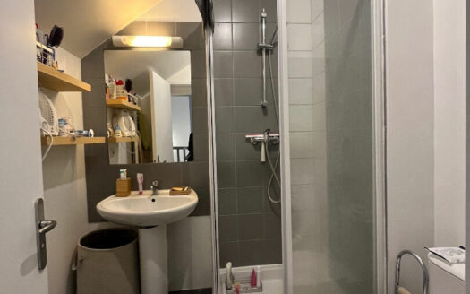 À louer – Duplex 2 pièces en dernier étage à Rouen hyper centre, calme et vue sur les toits