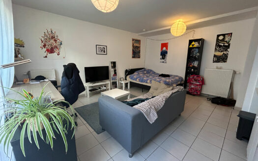 A vendre Studio hypercentre 27.85 m2