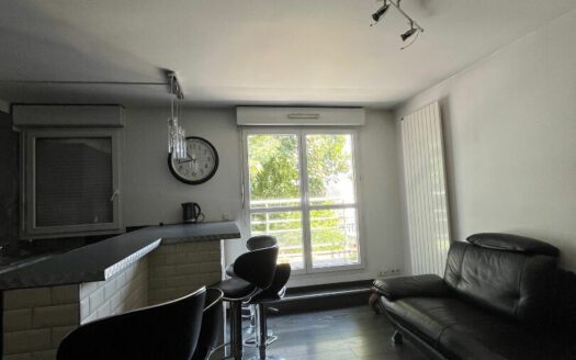 Meublé de 49.51m², face SAINT HILAIRE/ CHU de Rouen, terrasse