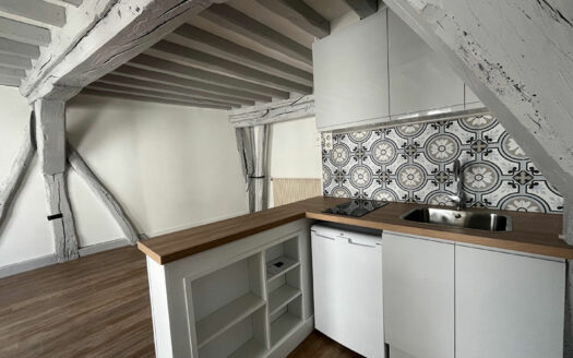Charmant studio refait à neuf, quartier Saint Vivien à ROUEN