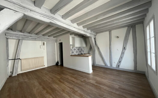Charmant studio refait à neuf, quartier Saint Vivien à ROUEN