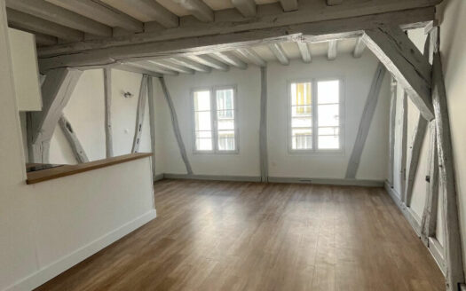 Charmant studio refait à neuf, quartier Saint Vivien à ROUEN