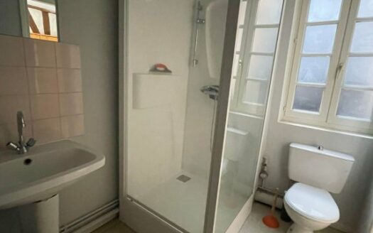 Studio meublé de 23,79m² à Rouen – Quartier Saint-Maclou