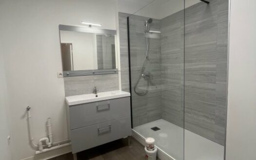 A louer, F3 de 61.20m², Rouen rive gauche, parking, terrasse