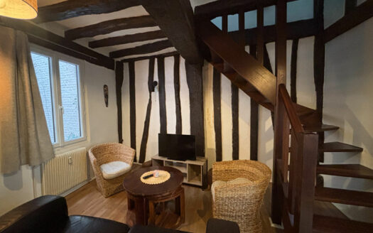 A vendre Rouen Eau de Robec F2 duplex