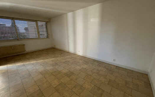 Rouen Gauche F3 + cave + parking