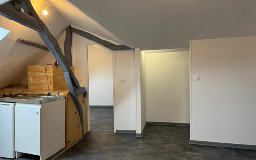 A vendre Bois Guillaume F1bis 23m2 carrez (43m² au sol) loué