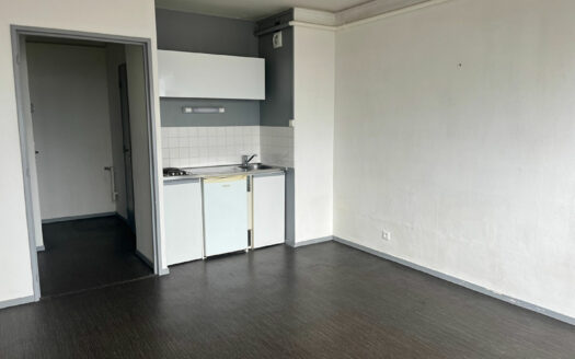 A vendre Studio 24m² + parking