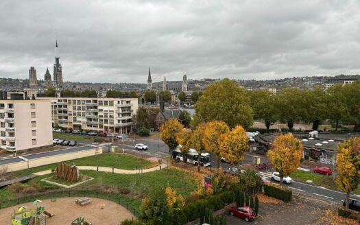 A vendre Rouen Ile Lacroix F2 55m² + parking
