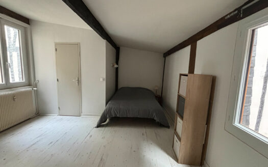 A vendre Rouen Eau de Robec F2 duplex