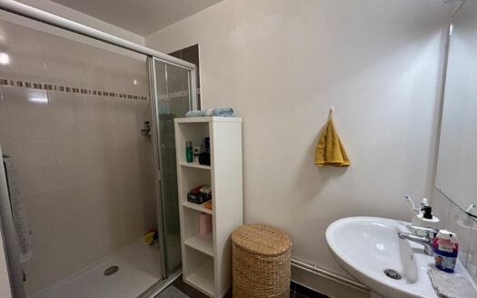 À vendre Appartement Bonsecours + 2 parkings F2 52.79 m2