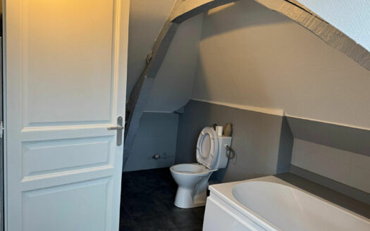 A vendre Bois Guillaume F1bis 23m2 carrez (43m² au sol) loué