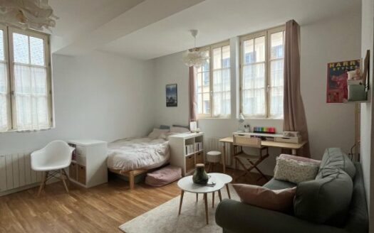 Magnifique studio de 32m², hyper centre de Rouen
