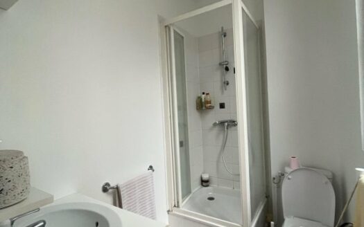 Magnifique studio de 32m², hyper centre de Rouen