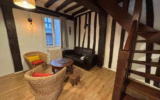 A vendre Rouen Eau de Robec F2 duplex