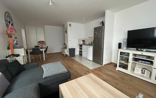 À vendre Appartement Bonsecours + 2 parkings F2 52.79 m2