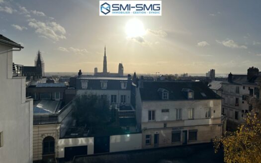 F3 idélament situé entre la rue beauvoisine et l'hotel de ville - Vue dégagée su