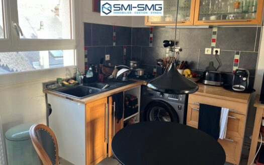 F3 idélament situé entre la rue beauvoisine et l'hotel de ville - Vue dégagée su