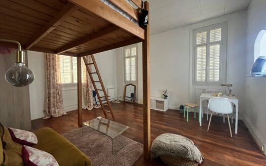 Location studio lumineux  27,76 m² avec balcon sud et parking sécurisé dans mais