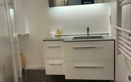 Meublé de 49.51m², face SAINT HILAIRE/ CHU de Rouen, terrasse