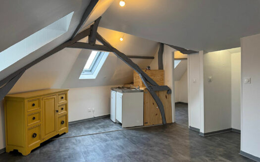 A vendre Bois Guillaume F1bis 23m2 carrez (43m² au sol) loué