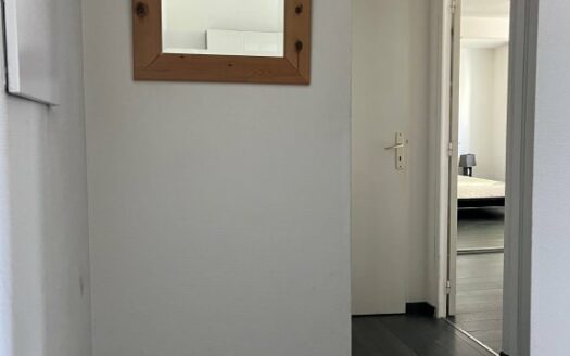 Meublé de 49.51m², face SAINT HILAIRE/ CHU de Rouen, terrasse