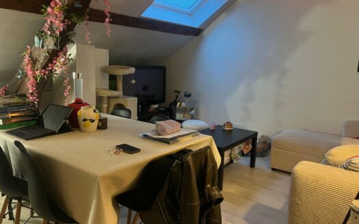 A louer, F2 entre la place du vieux marché et la préfecture