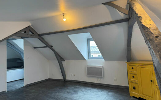 A vendre Bois Guillaume F1bis 23m2 carrez (43m² au sol) loué