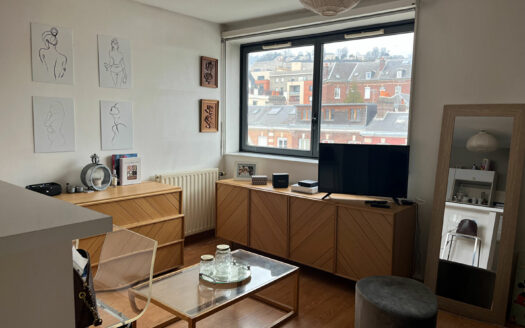 A vendre Rouen Préfecture F2