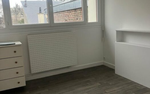 F3 idélament situé entre la rue beauvoisine et l'hotel de ville - Vue dégagée su