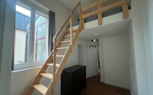 Coup de coeur, duplex meublé entre la gare et boulingrin,  en mezzanine de 38m²