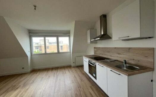 A louer F2 parfait état, Clinique de l'Europe, rive gauche Rouen