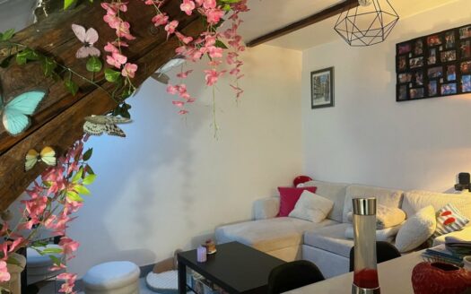 A louer, F2 entre la place du vieux marché et la préfecture