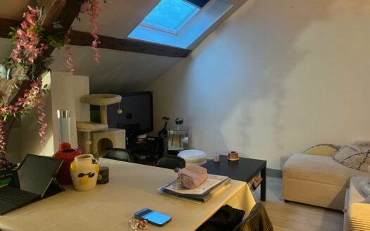 A louer, F2 entre la place du vieux marché et la préfecture