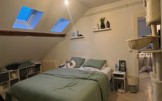 A louer, F2 entre la place du vieux marché et la préfecture