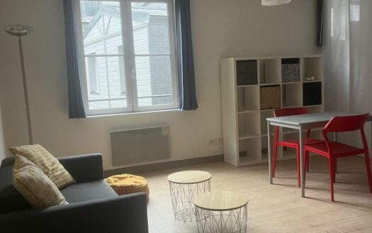 Studio meublé de charme – Hyper centre Rouen (Vieux Marché)