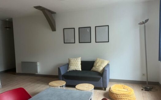 Studio meublé de charme – Hyper centre Rouen (Vieux Marché)