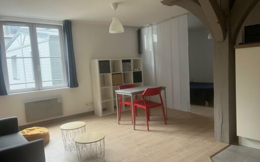 Studio meublé de charme – Hyper centre Rouen (Vieux Marché)