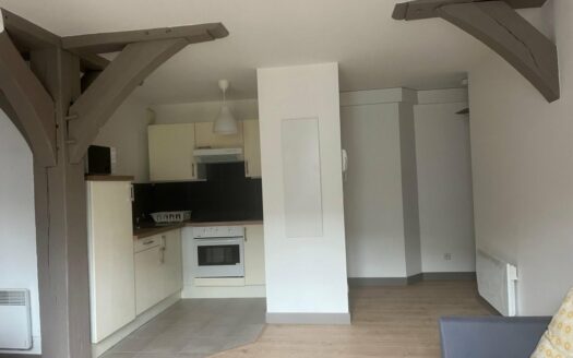 Studio meublé de charme – Hyper centre Rouen (Vieux Marché)