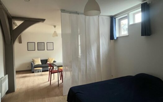 Studio meublé de charme – Hyper centre Rouen (Vieux Marché)