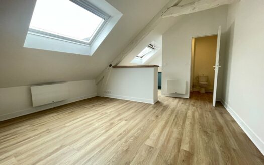 A LOUER STUDIO 18m² ROUEN CAUCHOISE (76000)