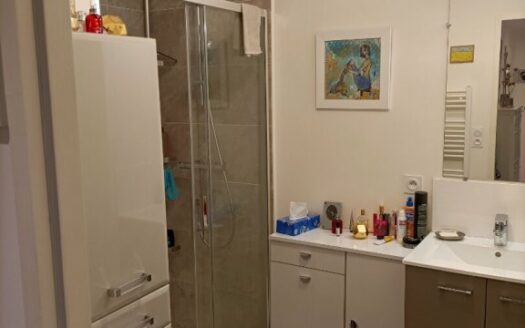 Appartement Mont Saint Aignan 3 pièce(s)